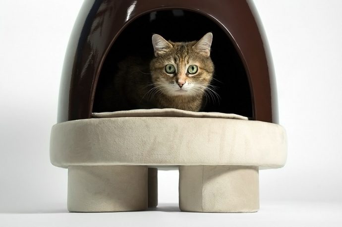 This minimal Japandi-style coffee table doubles up as the ultimate cat home for your pet!