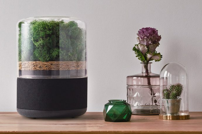 Last Chance to grab this tiny forest-powered natural air purifier at a discounted price!