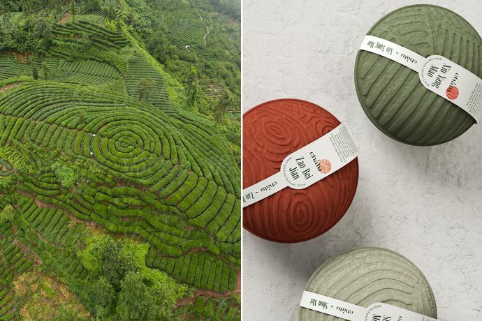This eco-friendly packaging design for premium Chinese tea draws inspiration from the plantations!