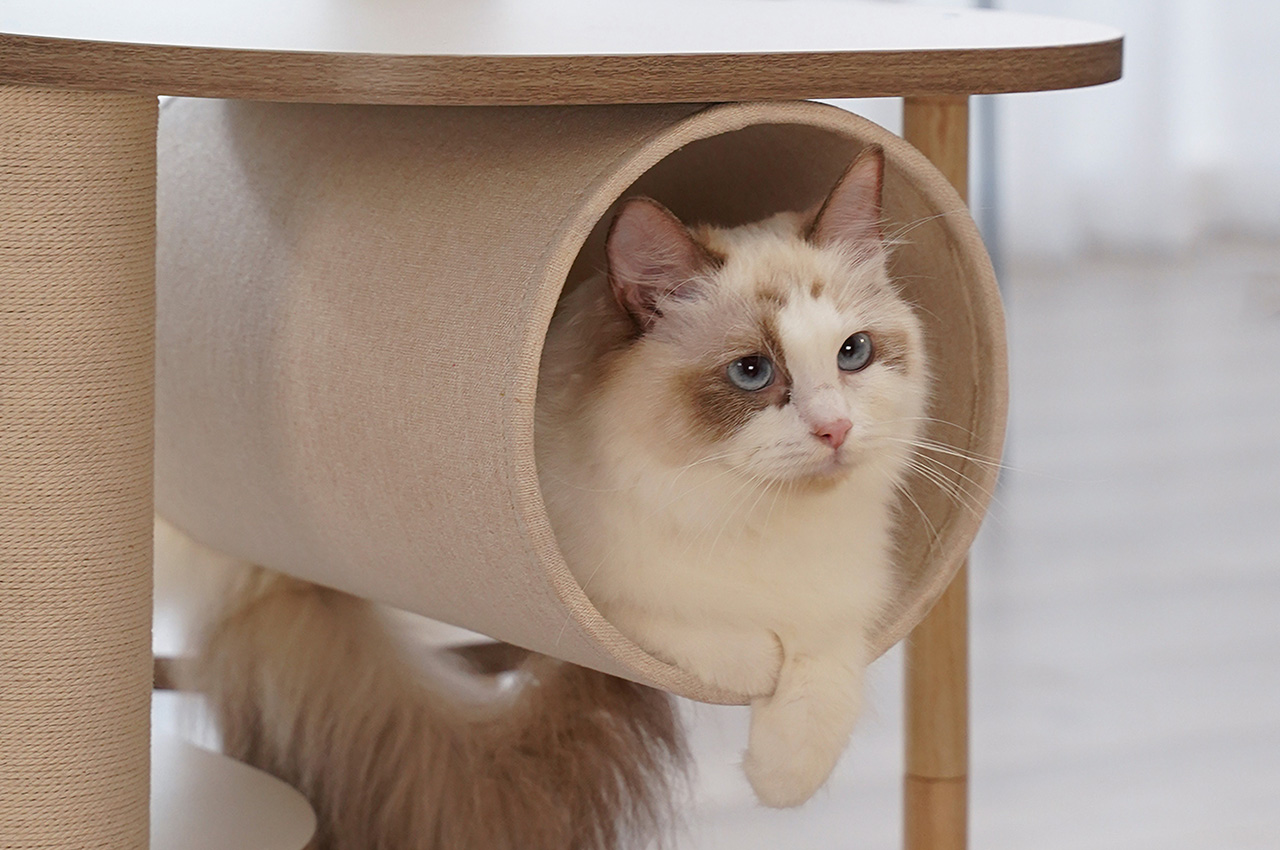 This modular cat-tree be any shape/style you want, with a customizable design that's like IKEA for cats - Yanko