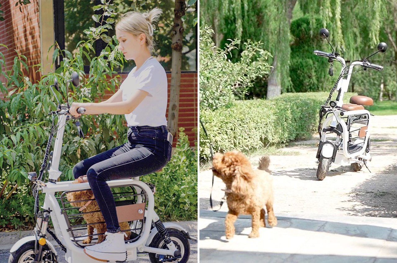 Need angel Mercury This pet-friendly e-scooter comes with a secure storage compartment for your  dogs to ride shotgun! - Yanko Design