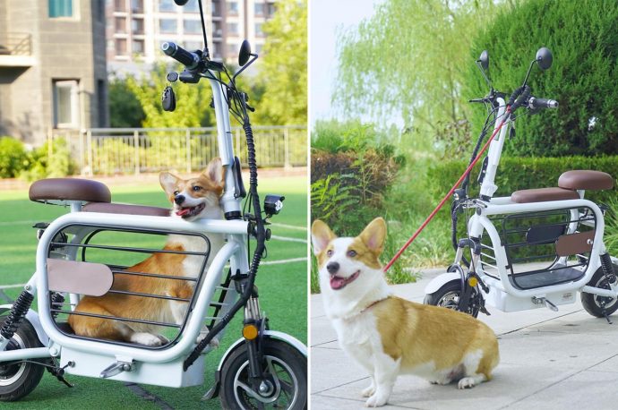 This pet-friendly e-scooter comes with a secure storage compartment for your dogs to ride shotgun!