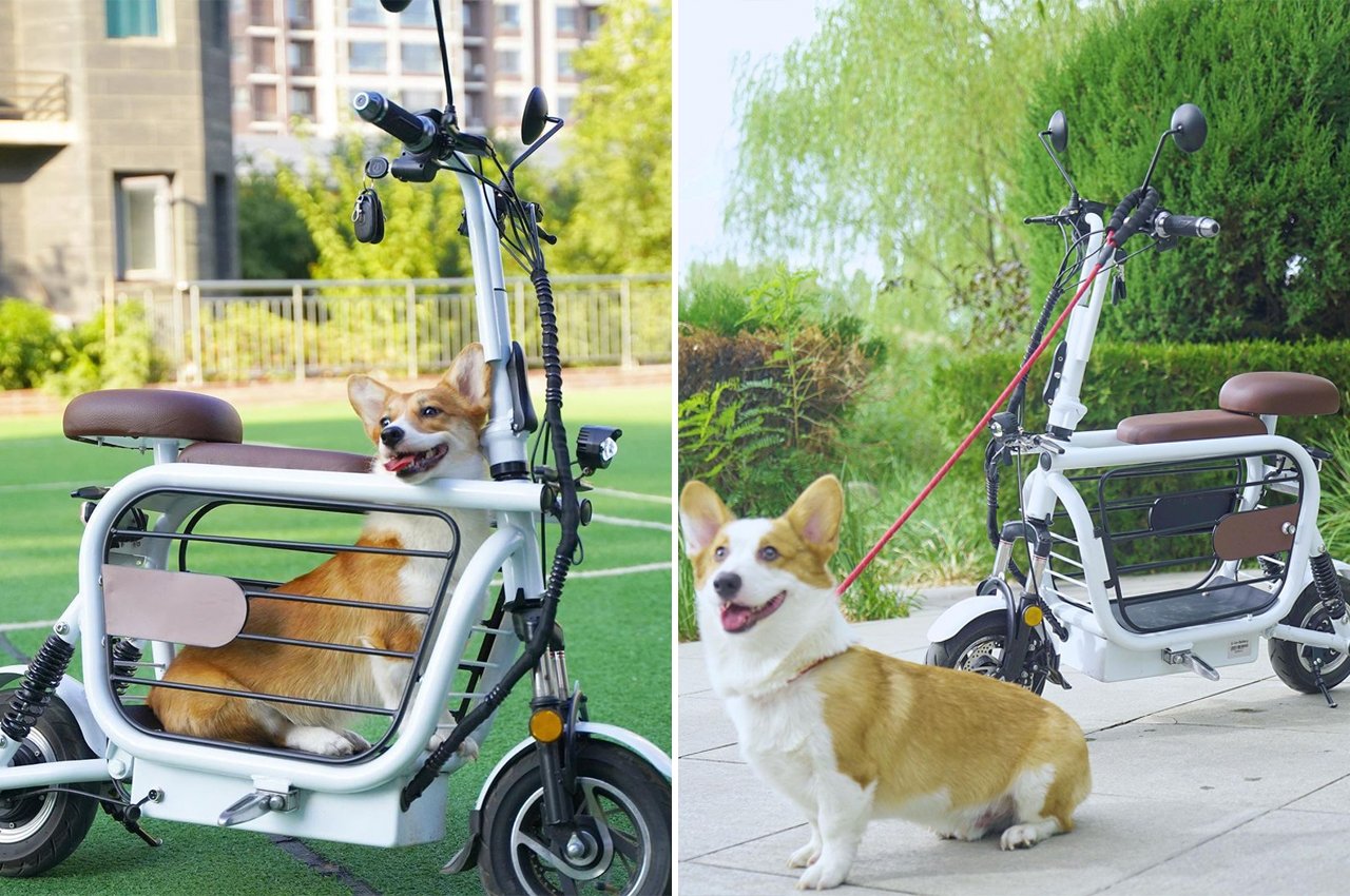 Need angel Mercury This pet-friendly e-scooter comes with a secure storage compartment for your  dogs to ride shotgun! - Yanko Design