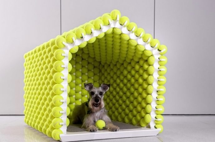 Furniture meets dog lovers for designs that help you create the perfect pet-friendly living space!