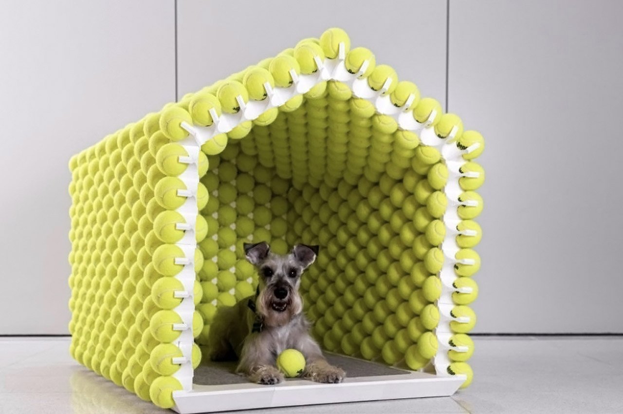 https://www.yankodesign.com/images/design_news/2021/11/furniture-for-dogs/furniture_for_dogs_pets_hero.jpg