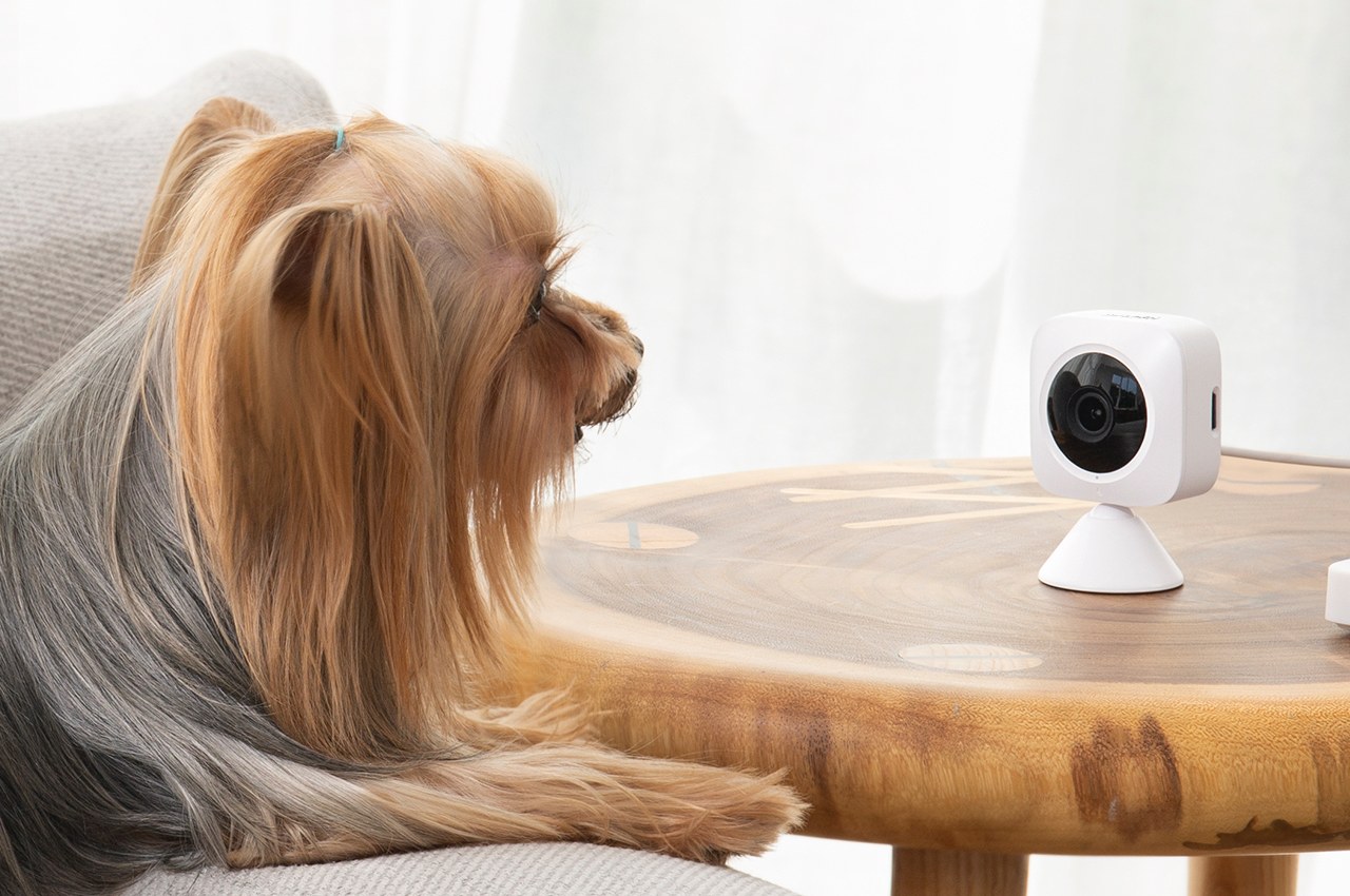 This $19 indoor camera comes with night-vision, human detection, instant alerts, and integration with Alexa