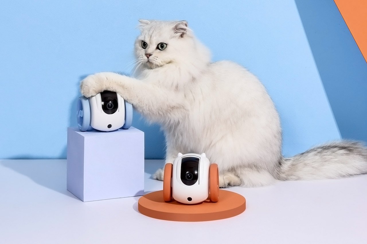 Give your cat a companion with this adorable robot that follows them + keeps an eye on them!