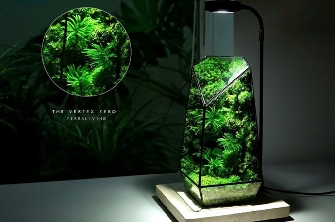 Plant-friendly products designed to fulfill your indoor gardening aspirations + cultivate a sustainable lifestyle!