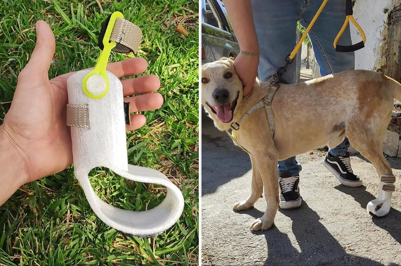 This 3D-printed prosthesis helped a dog who couldn’t walk for over 7 years, to run!