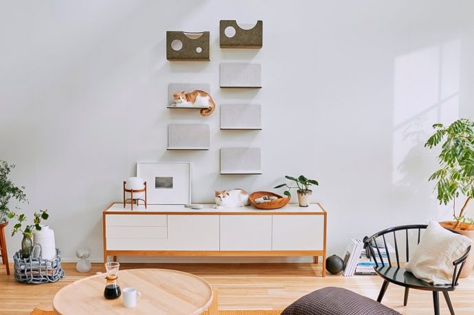 Designed for cats, this magnetic modular climbing wall system is for your pets of all sizes and ages!