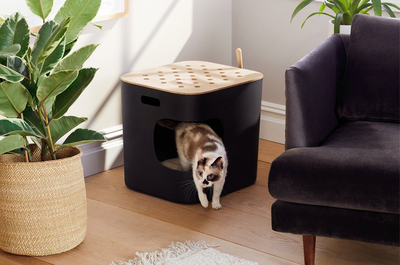 This skylight-enabled litter box doubles up as furniture to please cats and their owners