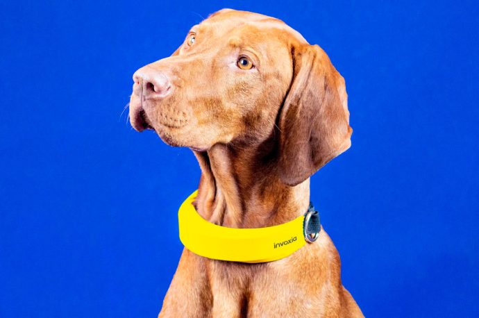 Biometric dog collar monitors your pooch’s vitals, keeps tabs on its current location