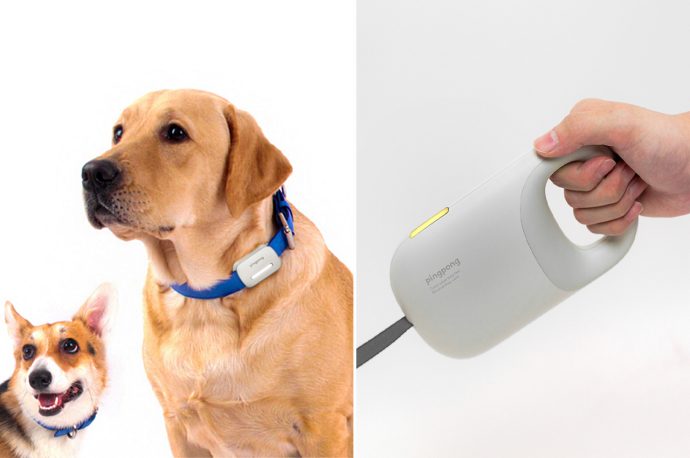 This dog leash + smart tag design tracks your pet’s emotions to help parents communicate better