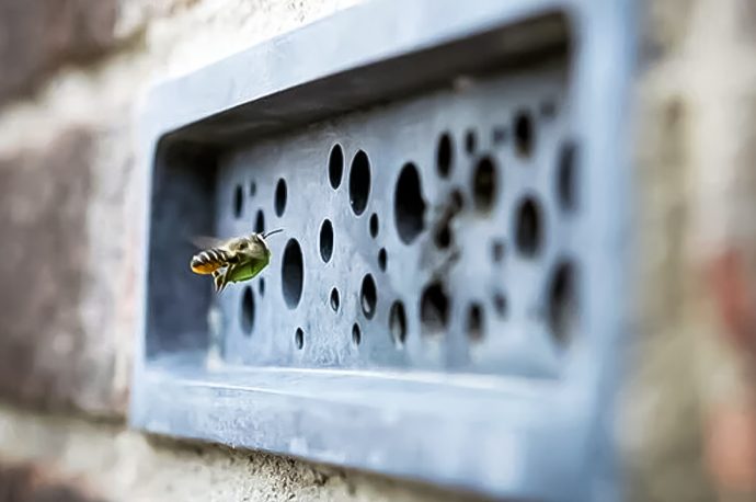 This recycled concrete brick features small cavities, creating a safe nesting site for solitary bees