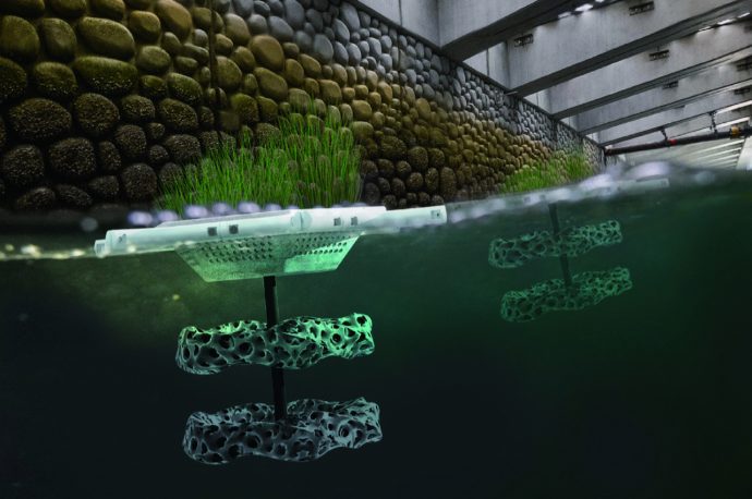 C-Ecology Taiwan Green Concept Award 2022
