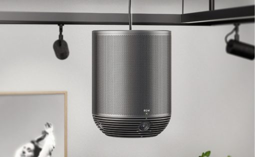 RUM Project Speaker System