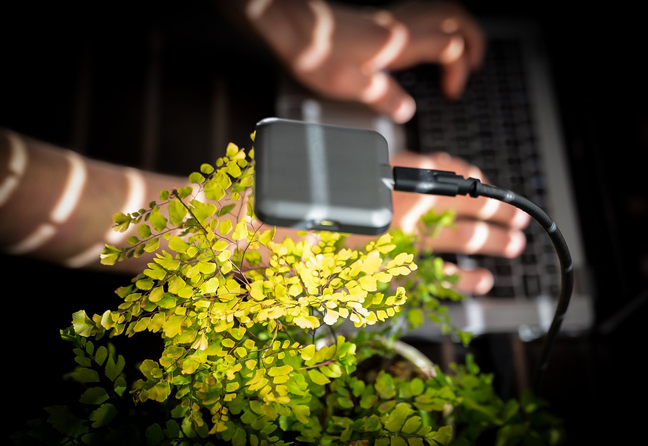 #This tiny USB-C lamp’s sunlight-spectrum LEDs helps your plants grow indoors