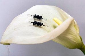 MIT researchers equip these bug-like bots with low-voltage, power-dense artificial muscles to take flight