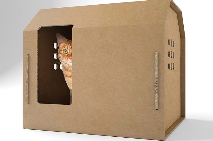 A cardboard cat house stripped down to its bare essentials delivers affordability, portability and fun