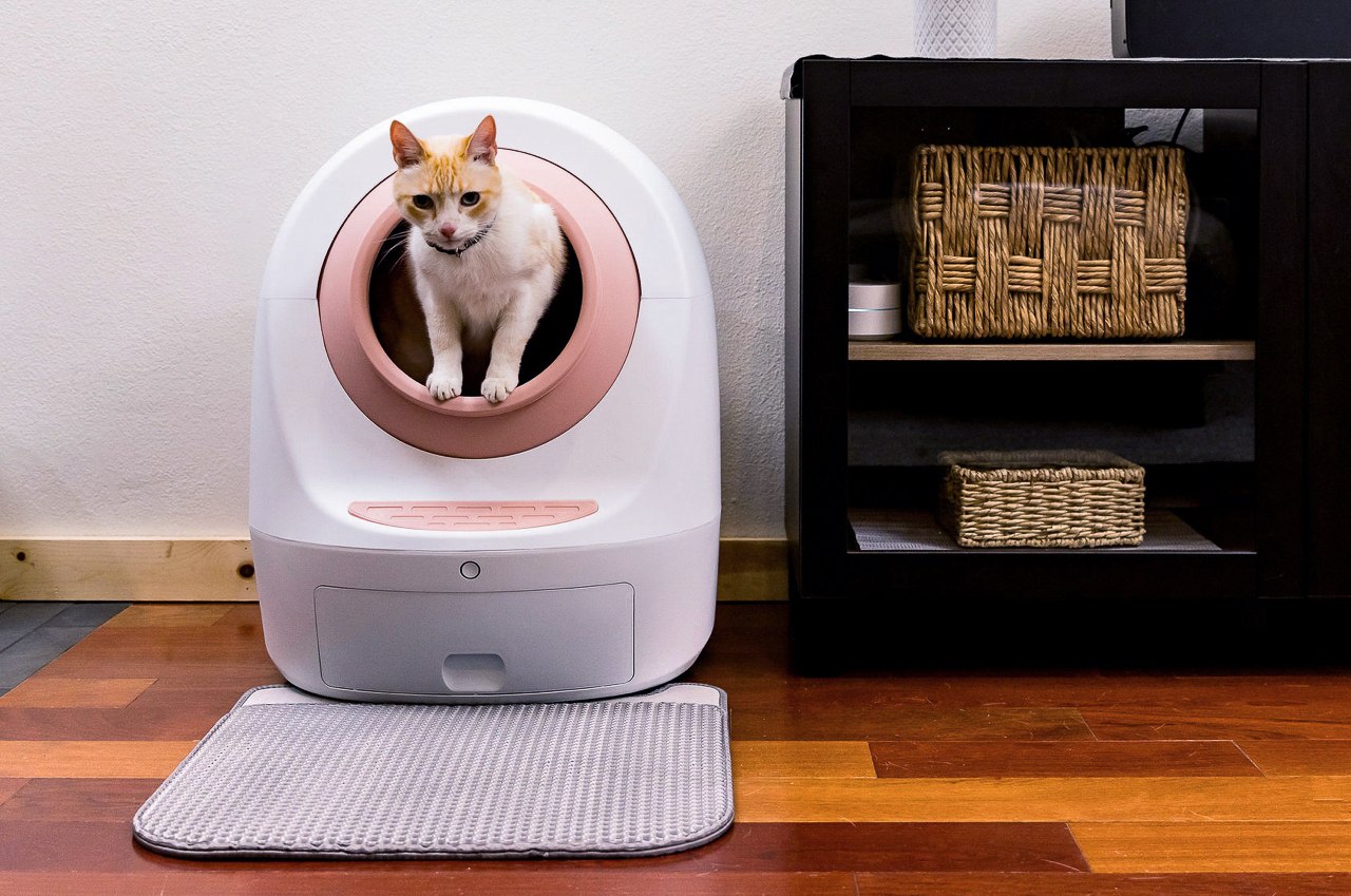 #This modern pod-shaped cat litter automatically cleans itself and integrates with a mobile app and Google and Alexa assistants