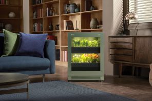Modern indoor gardening solutions to help cultivate the perfect personal green space at home