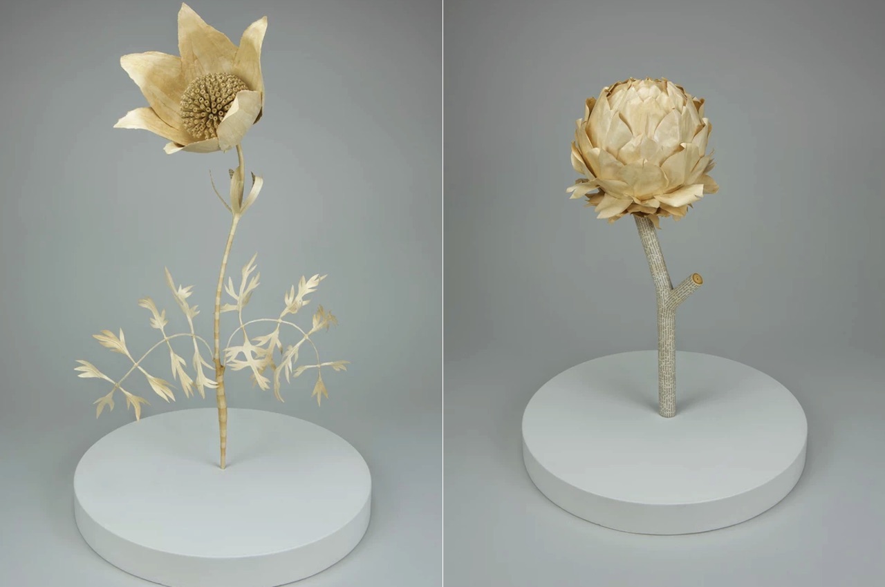 Cecilia Levy Paper Sculpture Medicinal Plants Collection