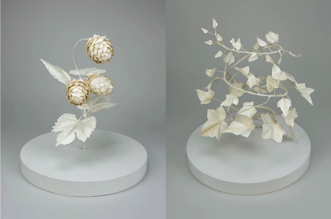 Cecilia Levy Paper Sculpture Medicinal Plants