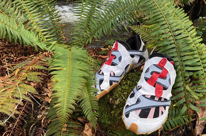 Rainforest Walk