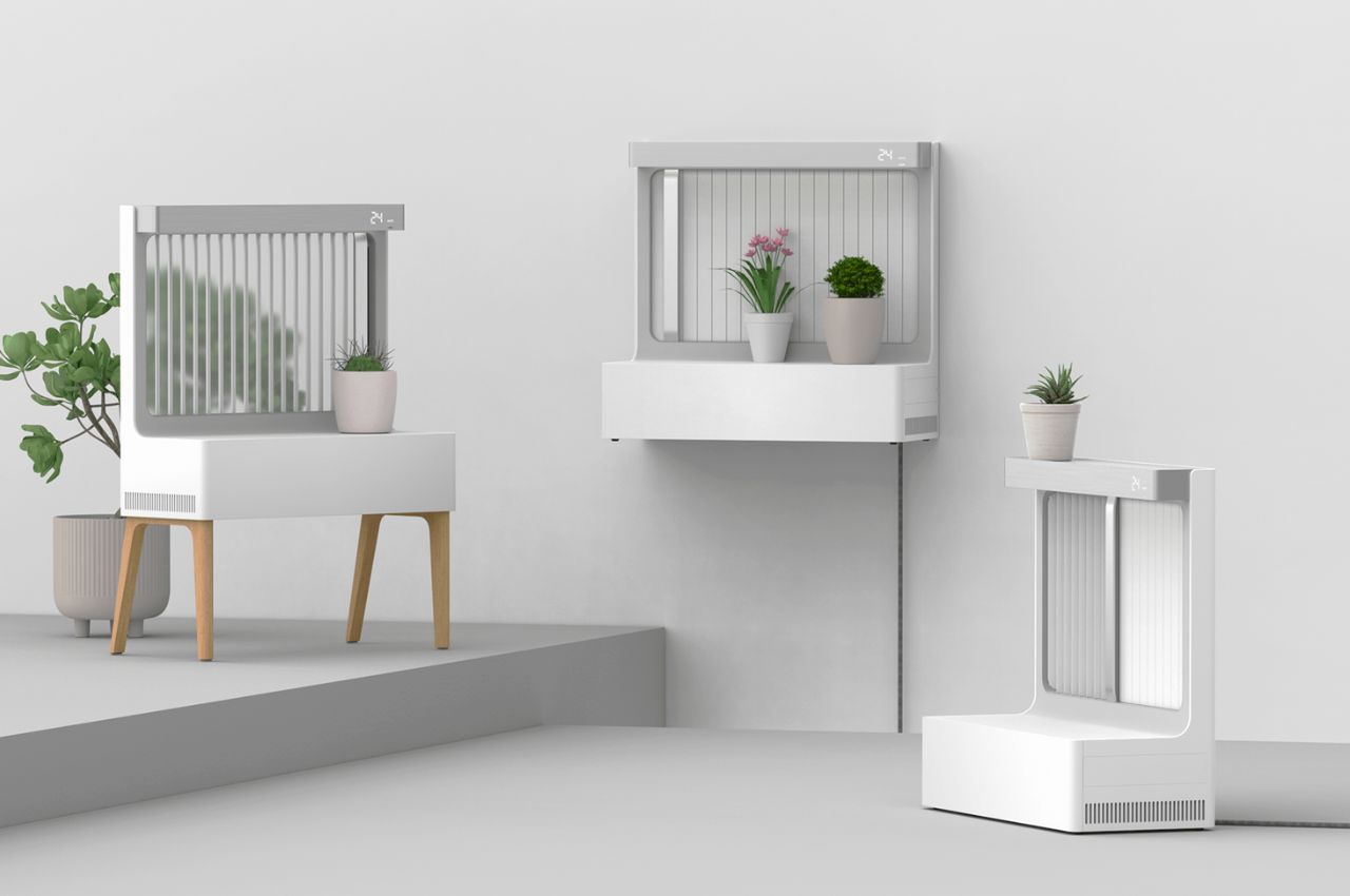 #Blow is an air purifier that also doubles as a plant caretaker