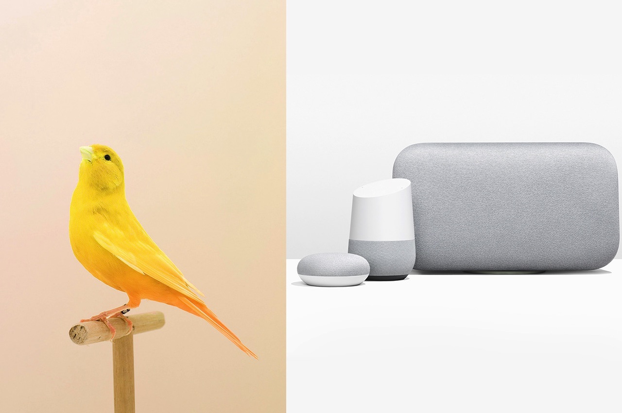 Canary Smart Speaker Concept Images