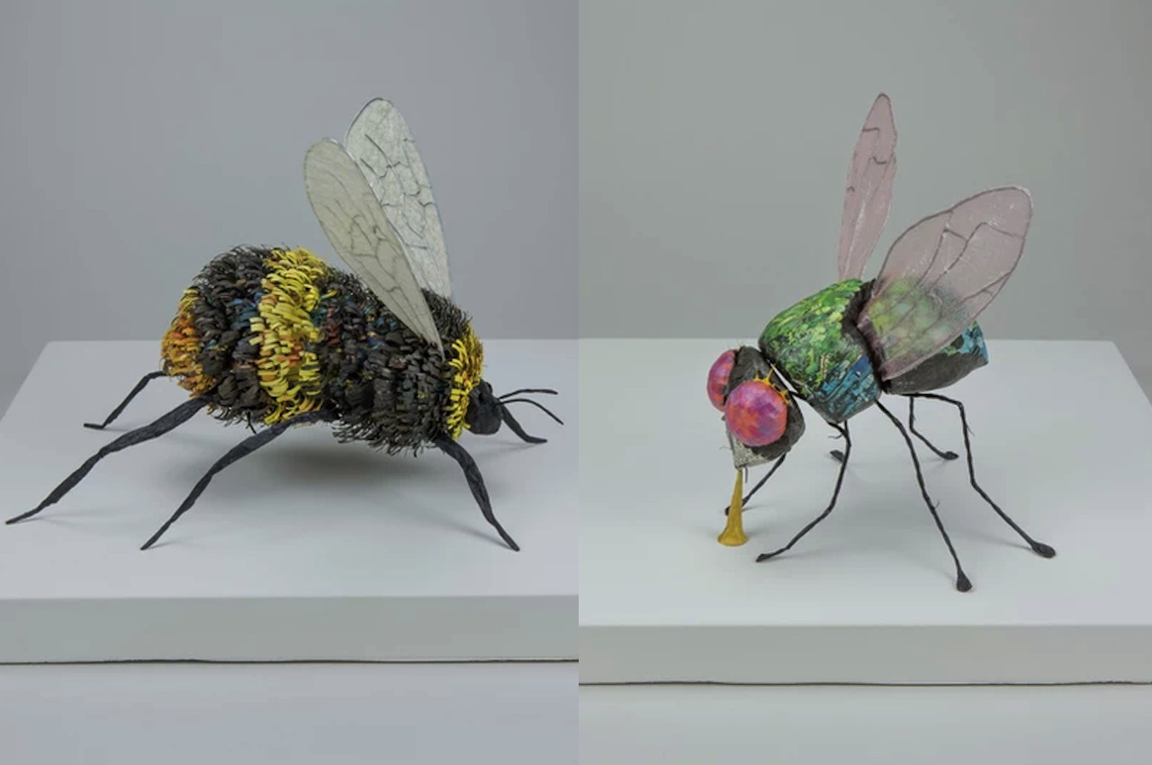 Cecilia Levy Paper Sculpture Insect Collection