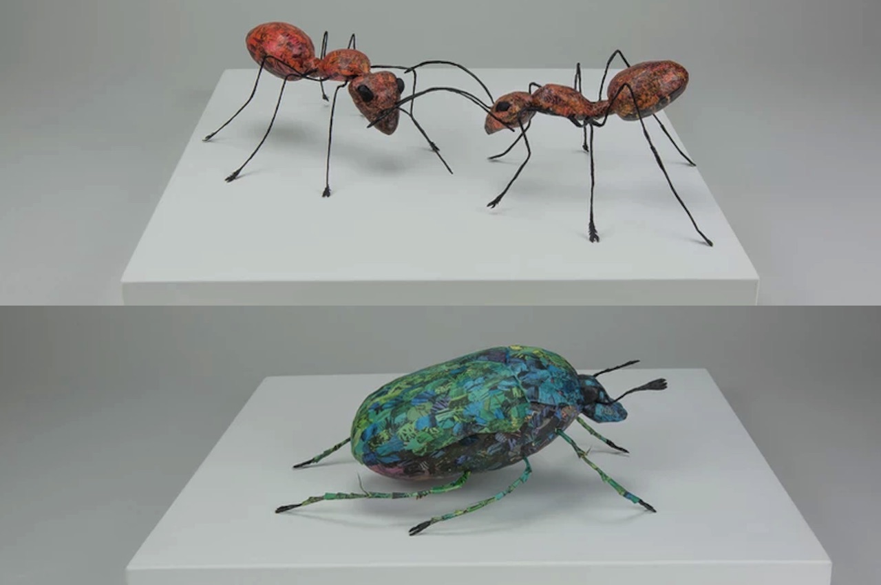 Cecilia Levy Paper Sculpture Insects
