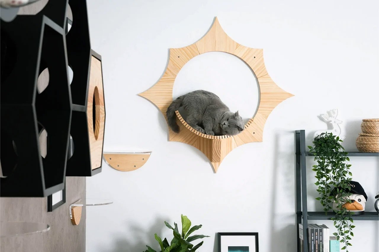 Fun + functional products designed to meet the daily needs of your pets