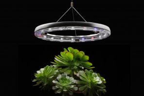 This horticultural light + watering system takes 360° care of your indoor plants