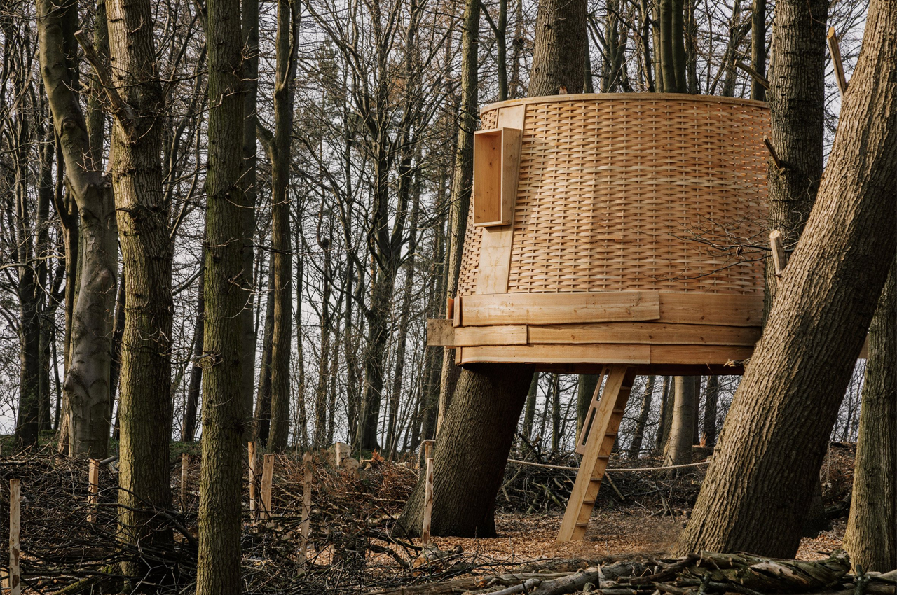 This treehouse is built from felled trees to prove the importance of effective woodland management