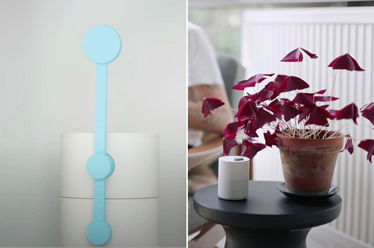 #Google’s Little Signals devices will deliver notifications in a subtle way using our plants