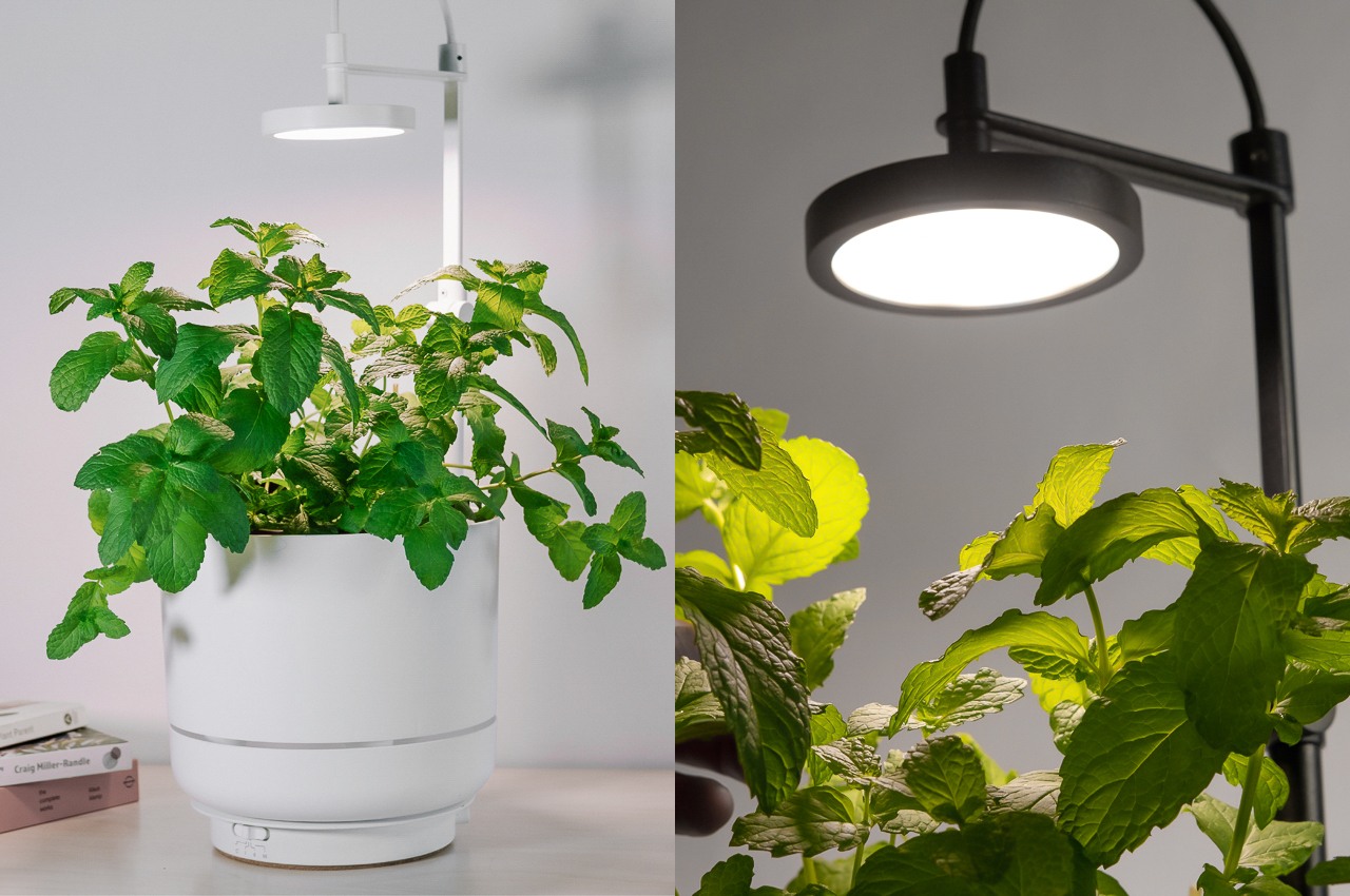 #Sun-mimicking lamp looks like a classy tabletop accessory that lets you grow any plant indoors