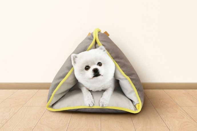 Pet bed is a mattress, holder, and car seat in one for your fur babies