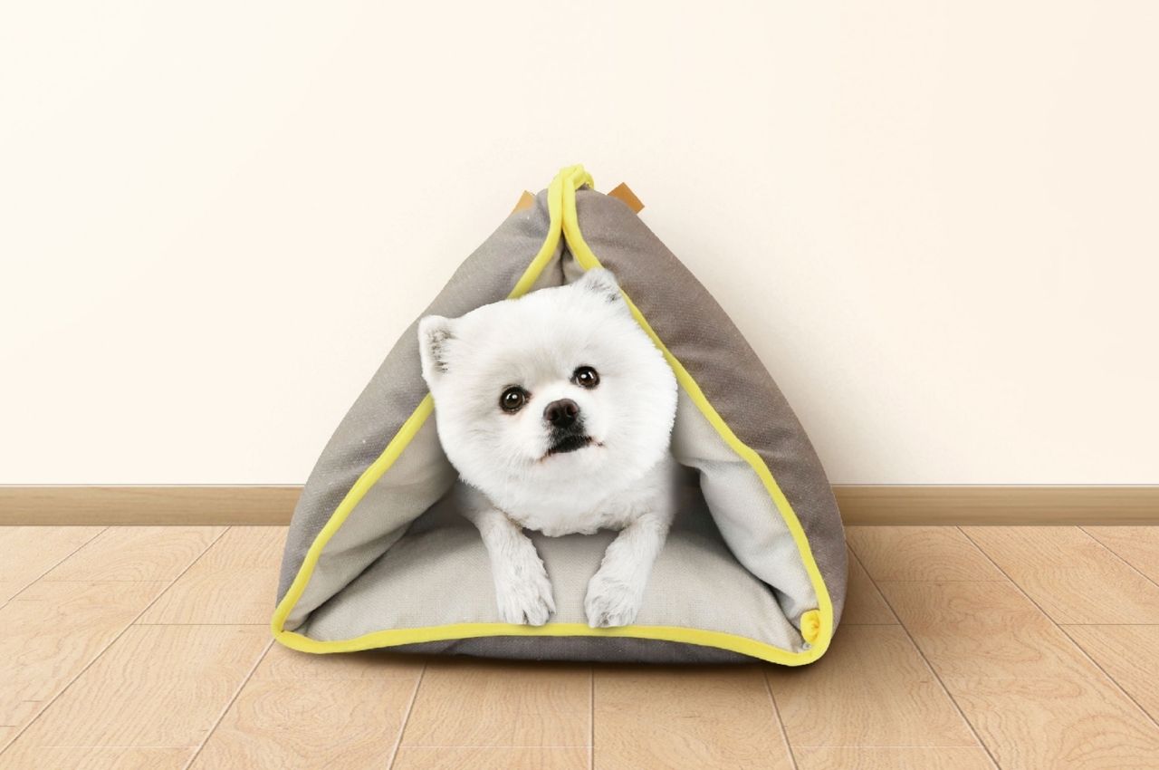 #Pet bed is a mattress, holder, and car seat in one for your fur babies