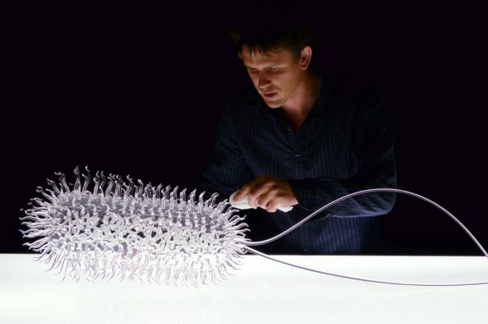 Sculptor creates scientifically accurate glass creations of bacteria and viruses