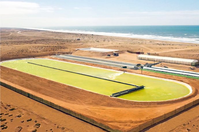 The world’s largest algae growth pond uses nature-based technology to capture CO2 emissions