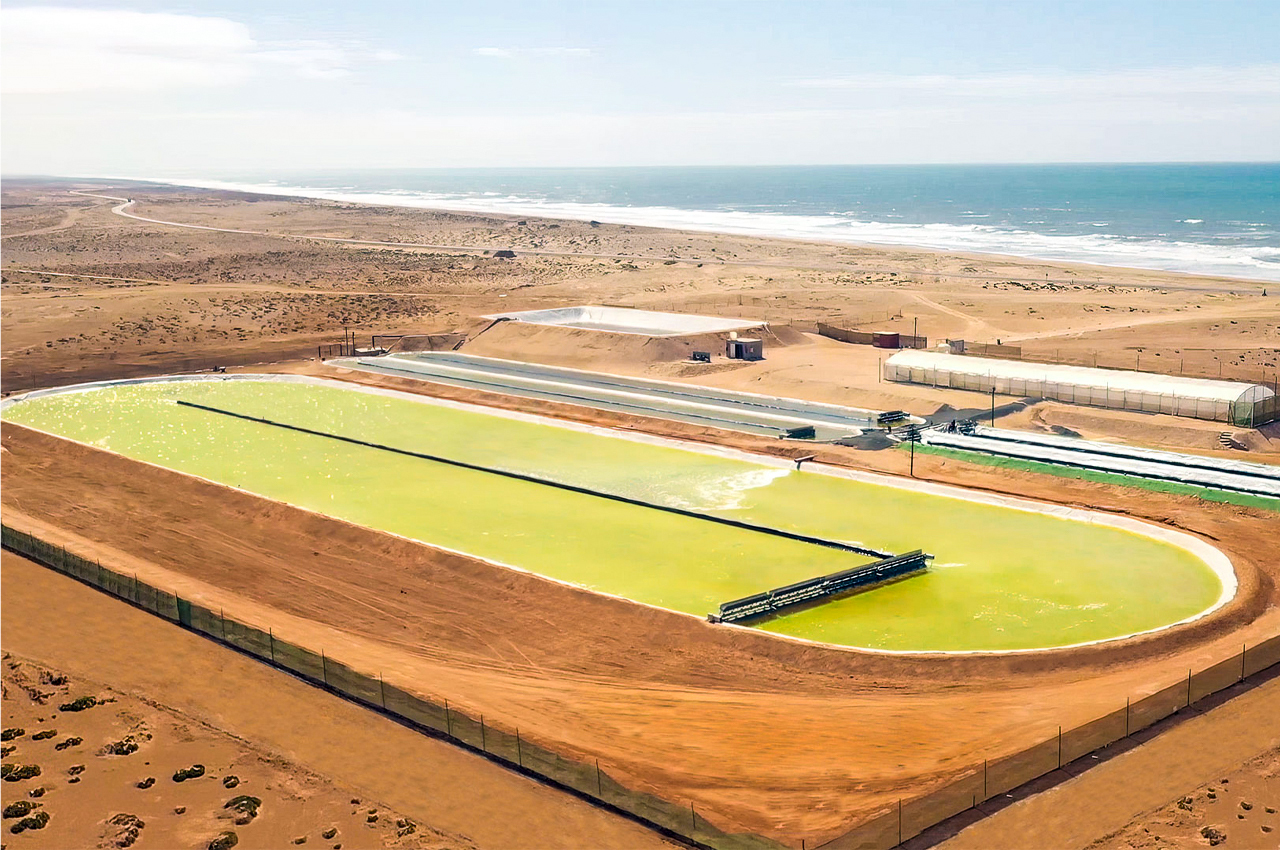 #The world’s largest algae growth pond uses nature-based technology to capture CO2 emissions