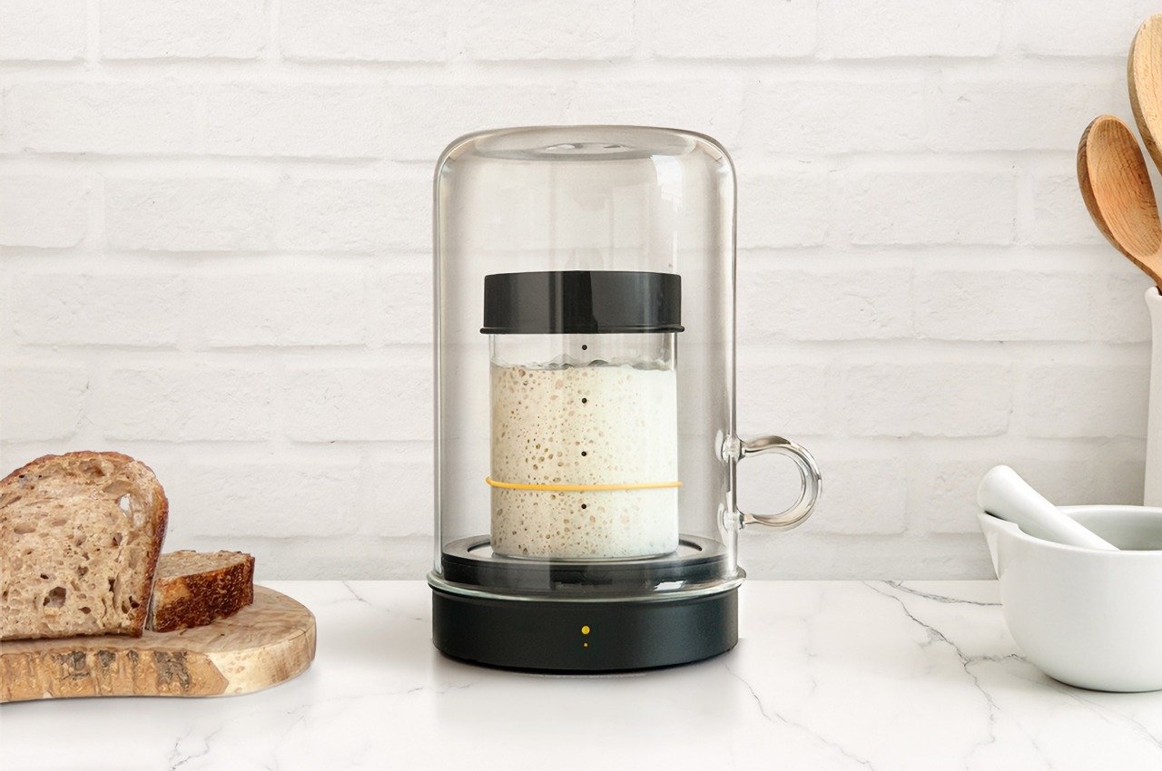 #This Sourdough Starter Incubator uses a temperature-controlled chamber to keep your starter active