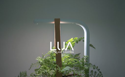 LUA Pet Plant Lighting Concept Image