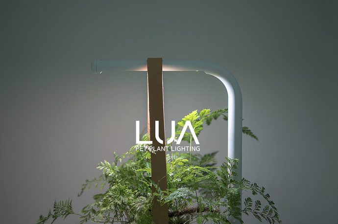 LUA Pet Plant Lighting Concept Image