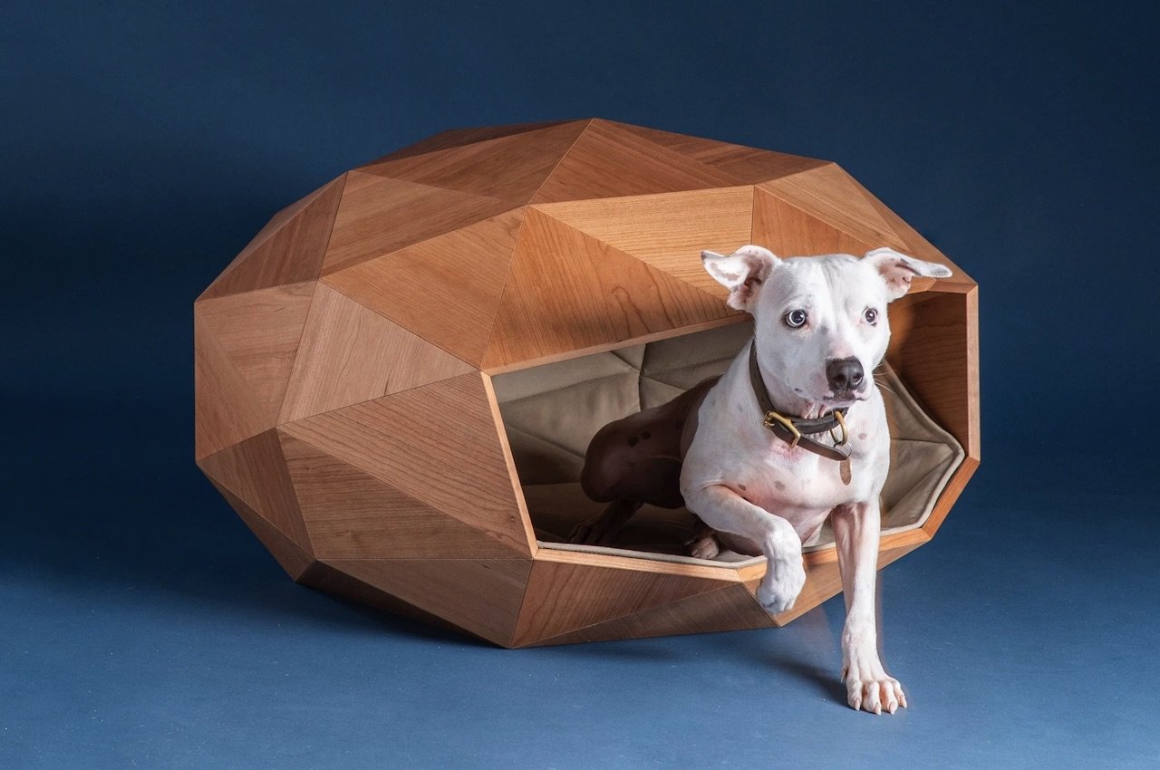 Foster Partners Dome Home Dog Kennel
