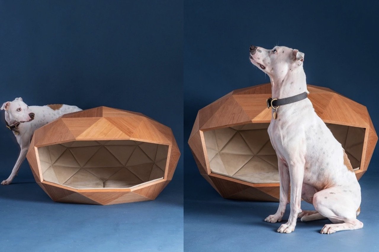Foster Partners Dome Home Dog Kennel