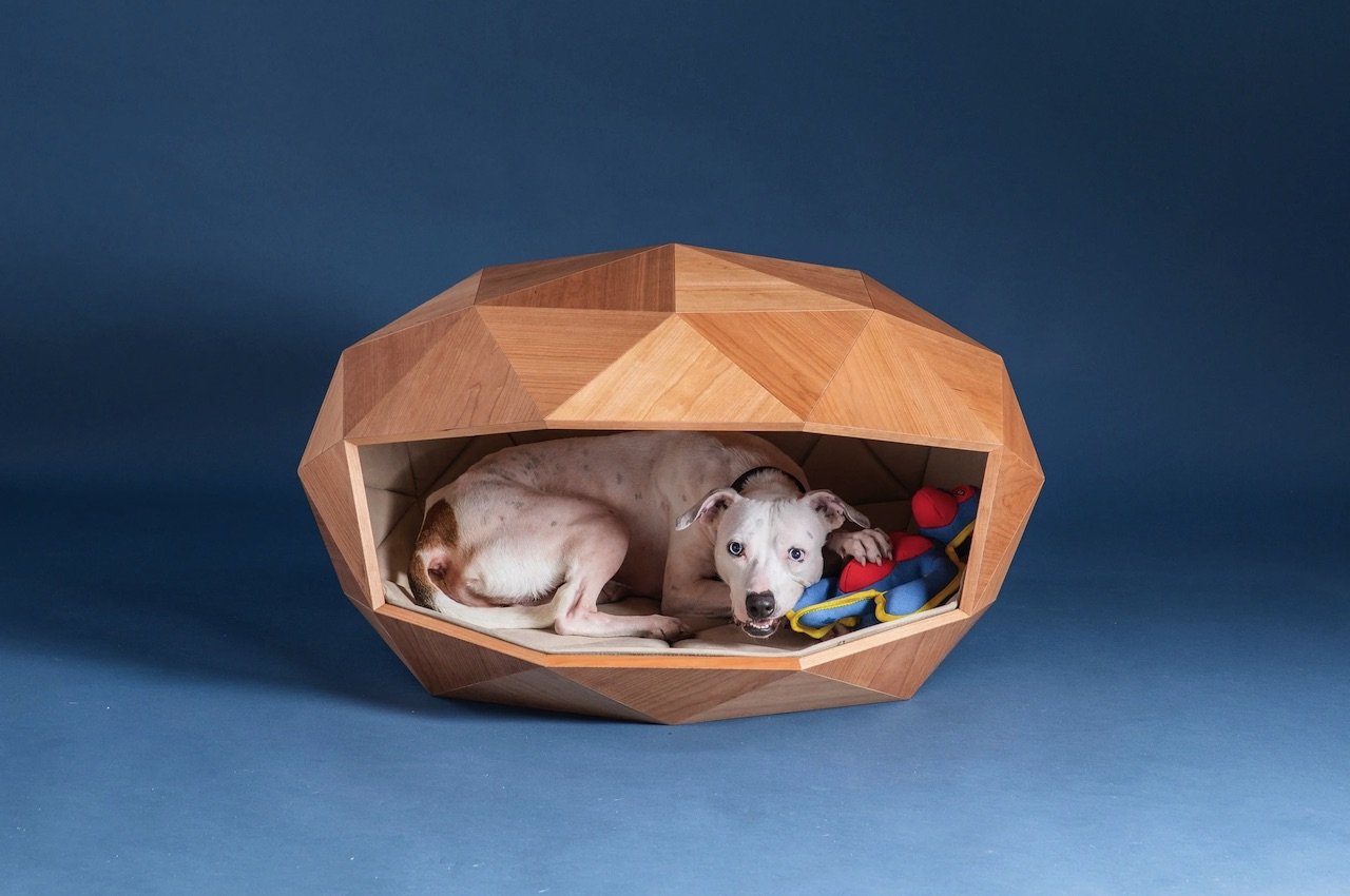 Foster Partners Dome Home Dog Kennel Concept Entrance 2