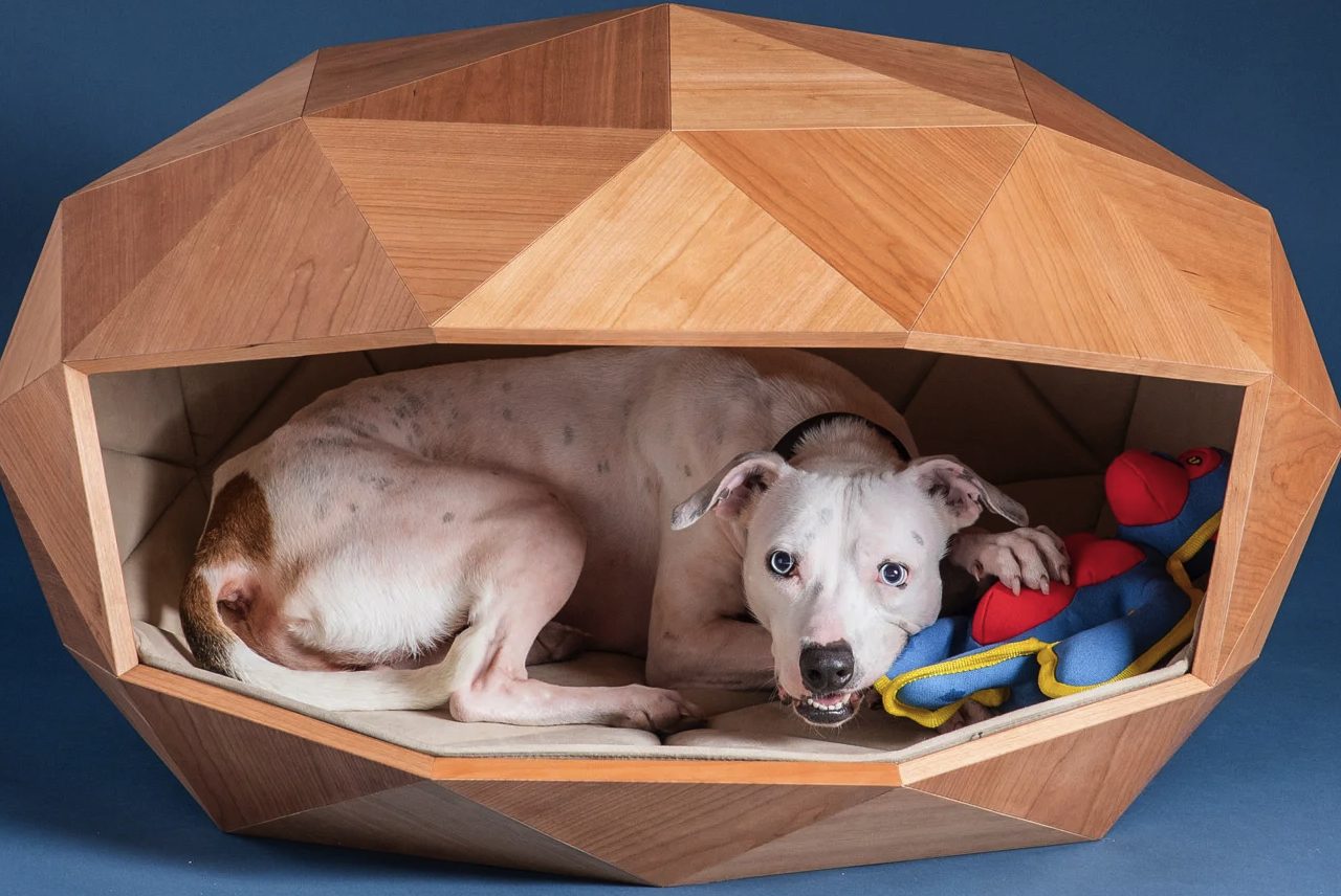 Foster + Partners Dome Home Dog Kennel comes in a geodesic shell structure