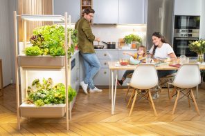 This smart cabinet gives you the self-sustaining kitchen garden you’ve always wanted